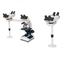 Low Price Lab Multi Viewing Microscope