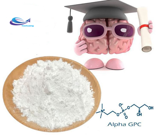 Drogues intelligentes Alpha GPC Choline Glycerophosphate