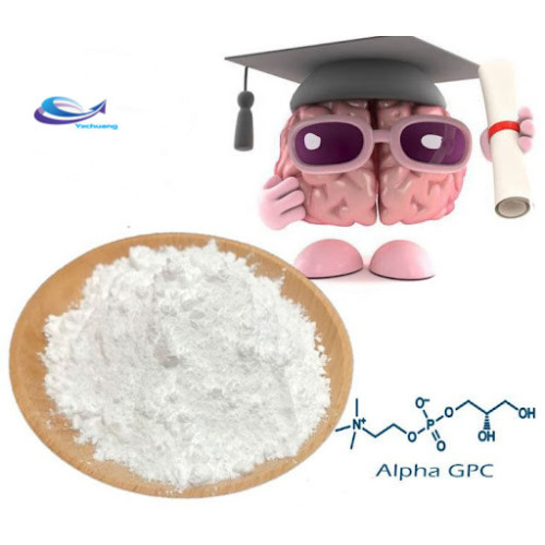 Drogues intelligentes Alpha GPC Choline Glycerophosphate