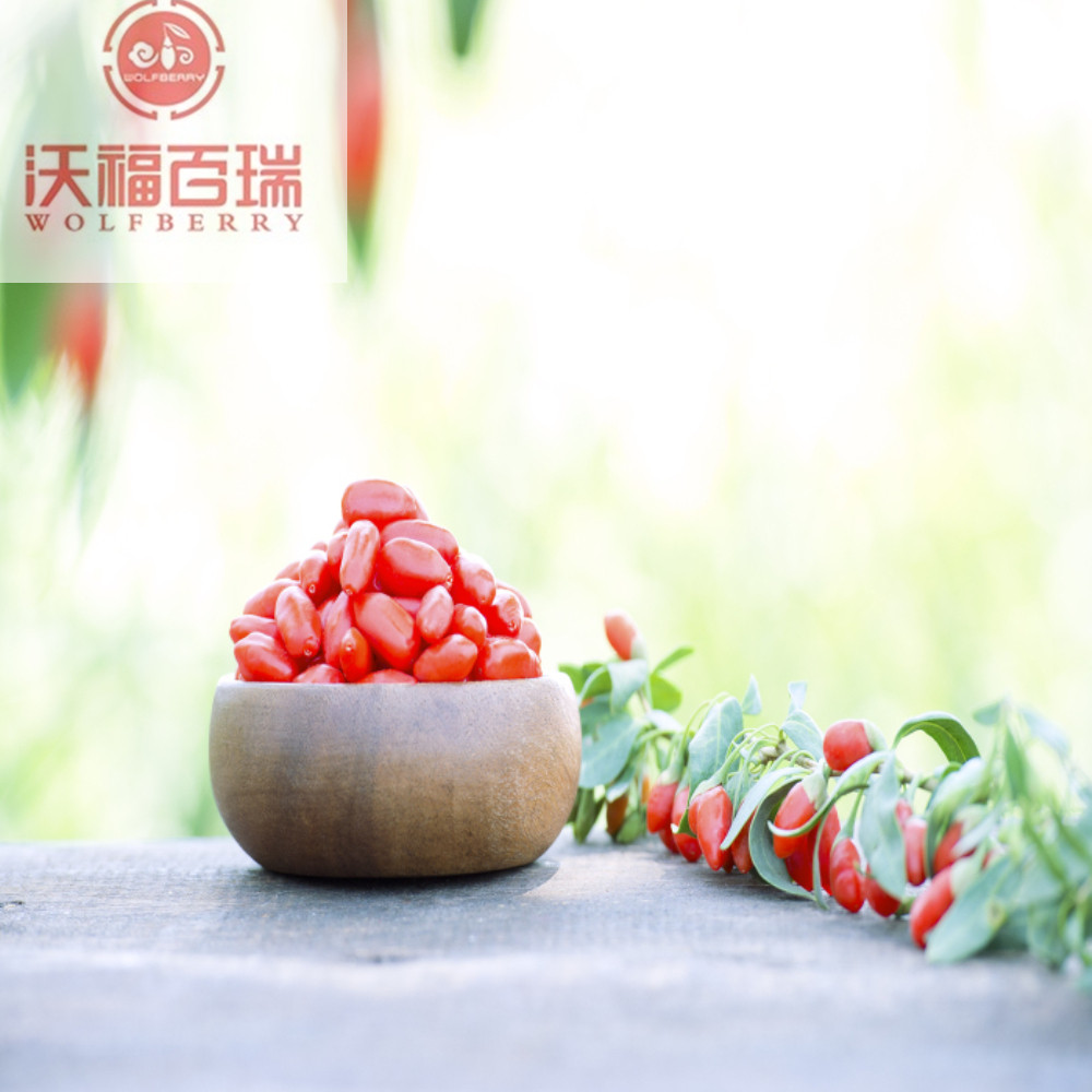 Goji berry / Wolfberry / Hot sale goji bessen