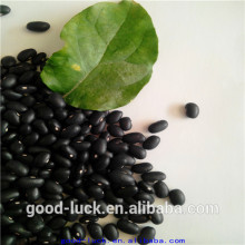 China cheap black beans factory