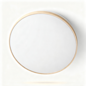 Round Flat LED Ceiling Light
