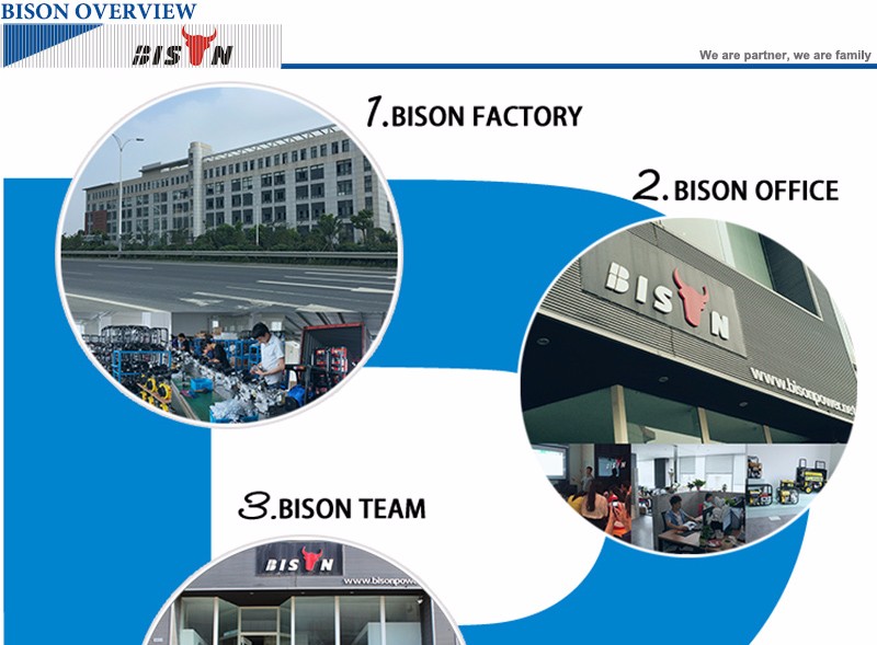 BISON CHINA Factory Price 5kw Open Frame Diesel Powermate Generator
