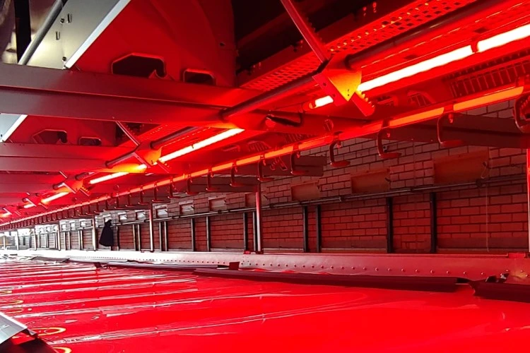 Red +White Two Colors Switchable Lighting to Increase The Egg Production for Layer Hens