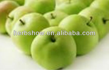 High Quality apple polyphenols