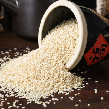 Supply India white hulled sesame seed