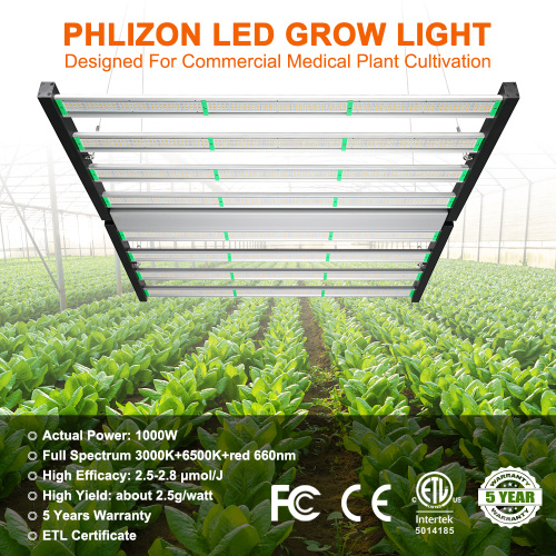 Lampa uprawna rośliny LED 1000W do hodowli pionowej