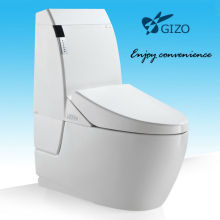 Side Flush Decorative Closet Ceramic Two Piece Siphonic Toilet