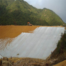 Polyester Nonwoven Geotextile for Municipal Engineering
