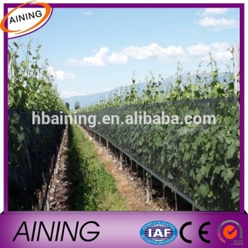 anti insect netting / anti bird mesh