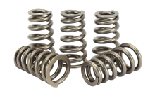 Car Engines Valve Spring