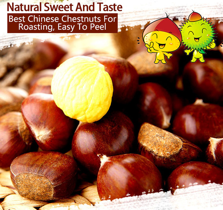 organic sweet fresh tianjin chestnuts