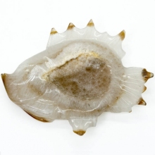 Crystal Fish Yinglai 1