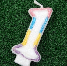 Birthday Candle Number \Letter\ Animal