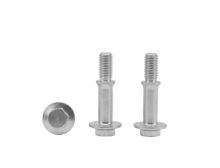 Hexagonal Flange Positioning Bolt