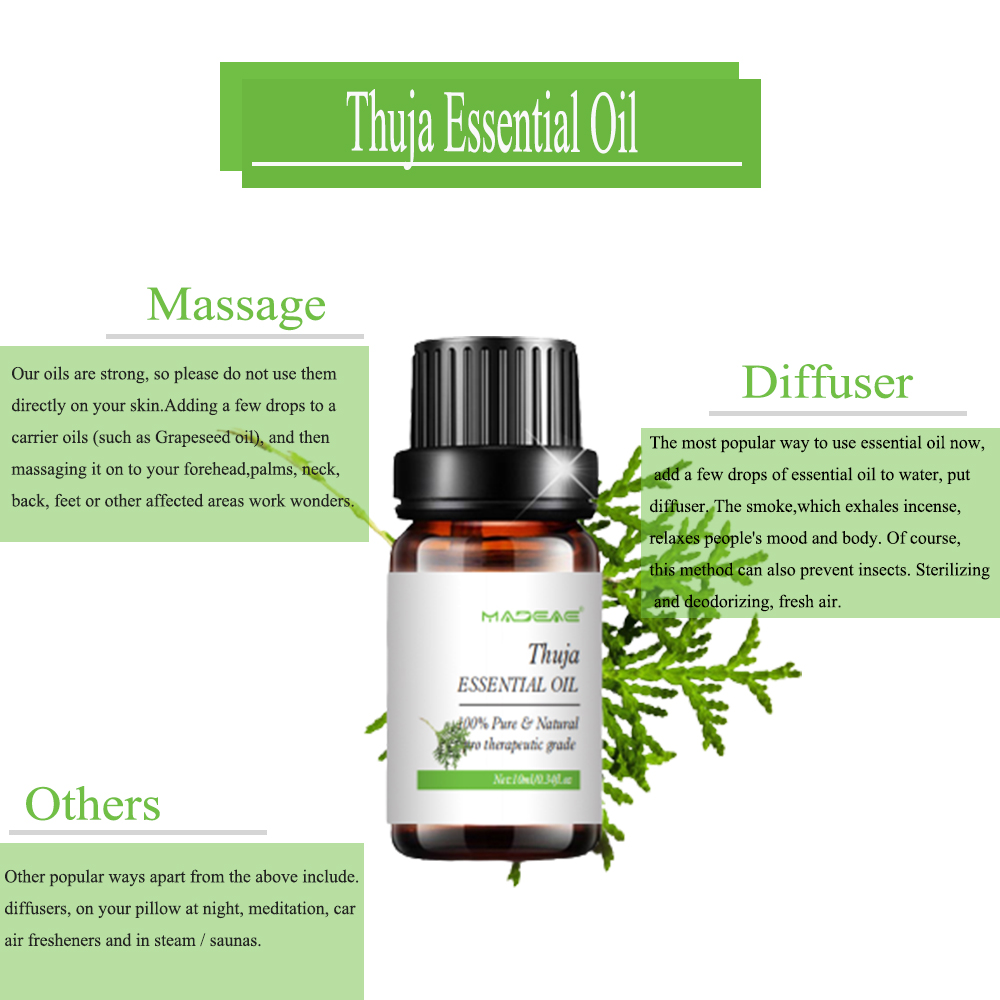 Huile essentielle de thuja soluble pour les soins de la peau