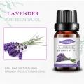 100%Pijat Minyak Esensial Lavender Prancis Murni Murni