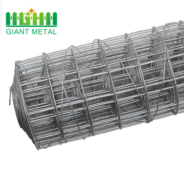 25mm holes 1mm galvanized welded wire mesh