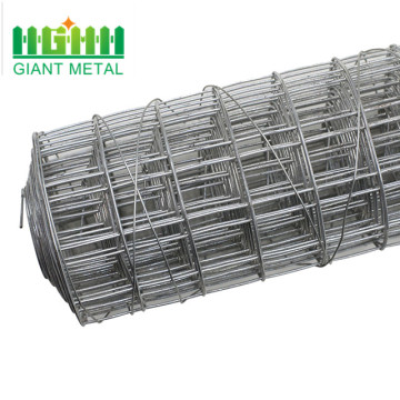 1/4 inci Galvanized Heavy Gauge Welded Wire Mesh