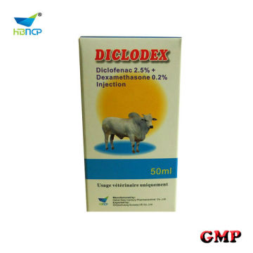 0.1% Dexamethasone Injection for horse cattle dog sheep camel fowl pig pets