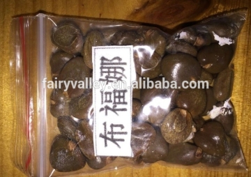 Chinese Wild Fruit Seeds Kadsura Coccinea Seeds For Planting