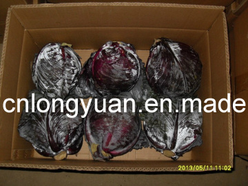 Fresh Red Purple Cabbage