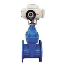 Motorized Electric Gate Valve with Flange Ductile Cast Iron Actuator