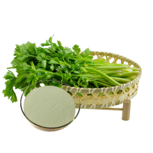 Best celery powder with more benefit