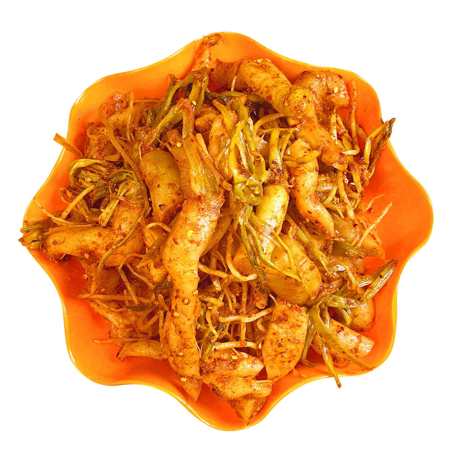 lobak radish