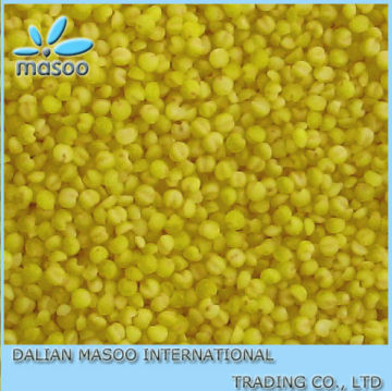 Millet Chinese hulled and glutinous and non-glutinous Yellow Millet,