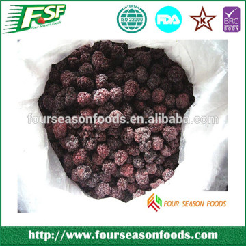 2014 Hot sale iqf blackberry ,iqf frozen Blackberry supplier