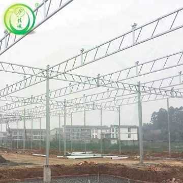 Agricultural Tunnel Plastic PE Flim Greenhouse For Mushroom