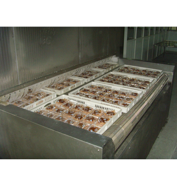 quick freeze machine freeze tunnel