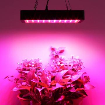 Full Spectrum Hydroponics LED Grow Light for Greenhouse