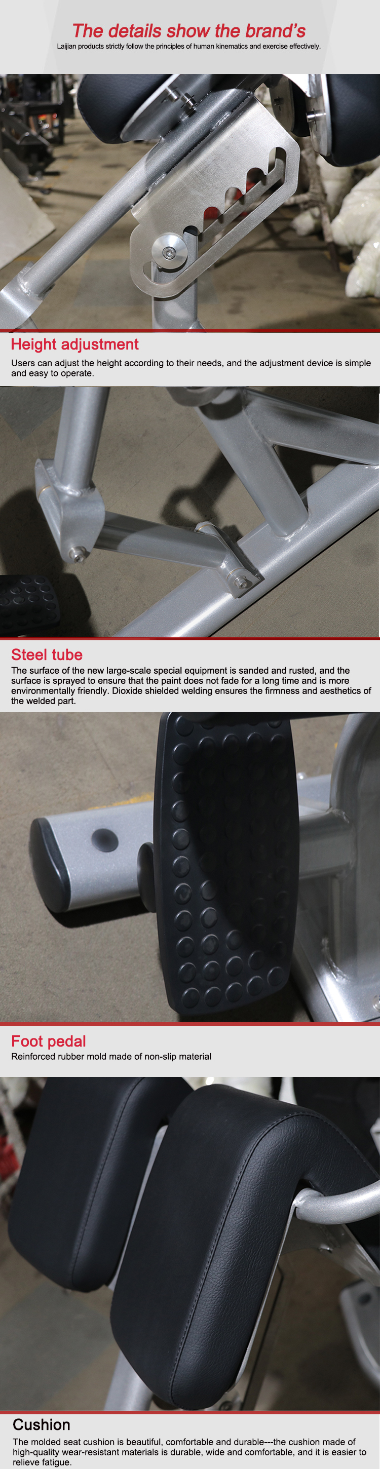 Body Building Commercial Gym Equipment Body Building Commercial Gym Equipment