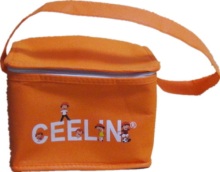 Shoulder Strap Yellow Color Cooler Bags?