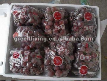 good price sweet red globe grape