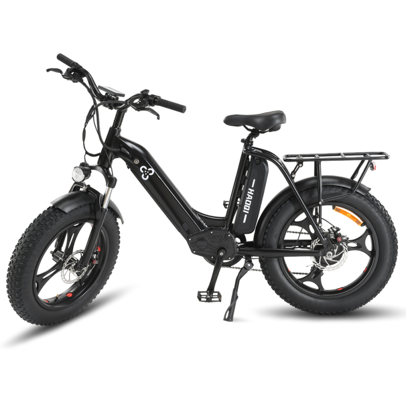 Antelope 48V 25Ah Utility Electric Bike