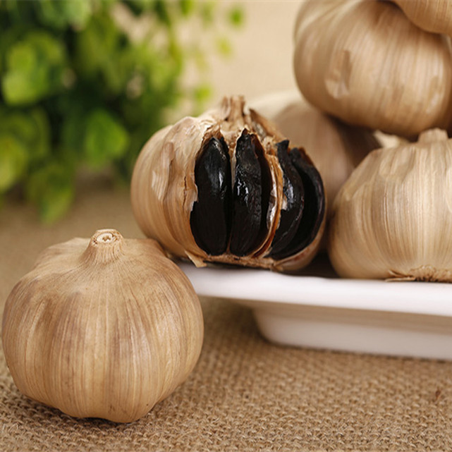 Fermentazione Aglio nero dalla macchina aglio nera