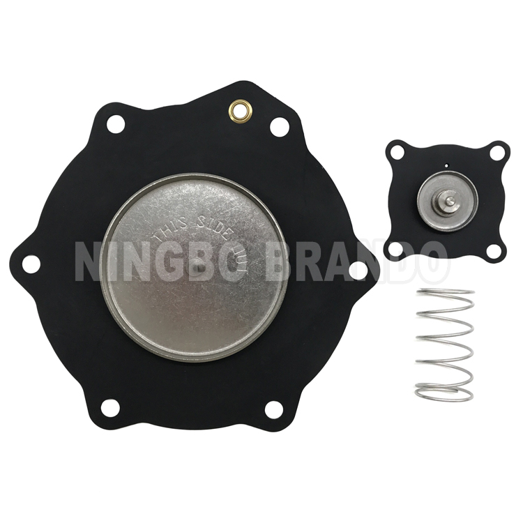 C113684 Diaphragm