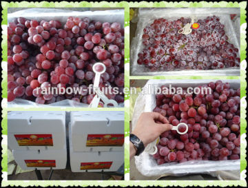 Chinese fresh grapes price