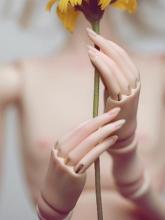 BJD Parts Doll Chateau 1/4 Joint Hands Doll
