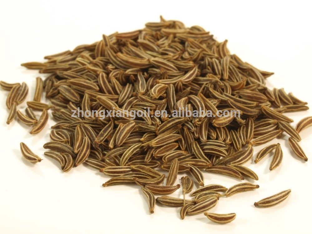 Organic Black Cumin Seed Oil at Wholesale Price