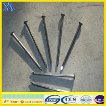 common round iron nails/round head brass nails/common iron nails making machine