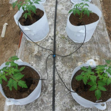 Branch pipe drip irrigator dripper