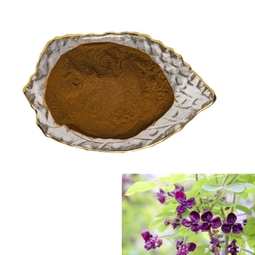 manufacturer suppy natural herbal akebia quinata extract powder