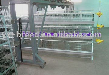 chicken cage,automatic poultry equipment,chicken layer cage