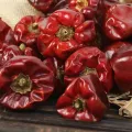 Wholesale packaging dry red Lantern Pepper slightly spicy