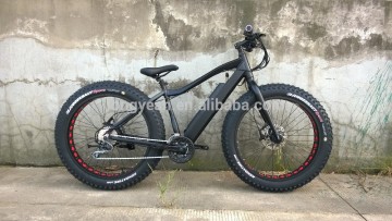 Electric Fat bike/ fat electric bike