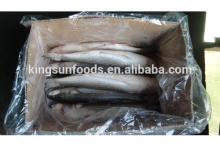 Frozen Gray Mullet Without Roe